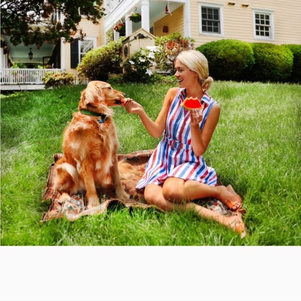 KJP limited edition American Beauty Patriotic dress